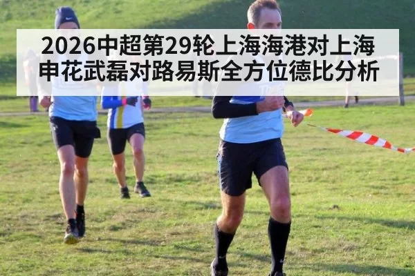 2026中超第29轮上海海港对上海申花武磊对路易斯全方位德比分析